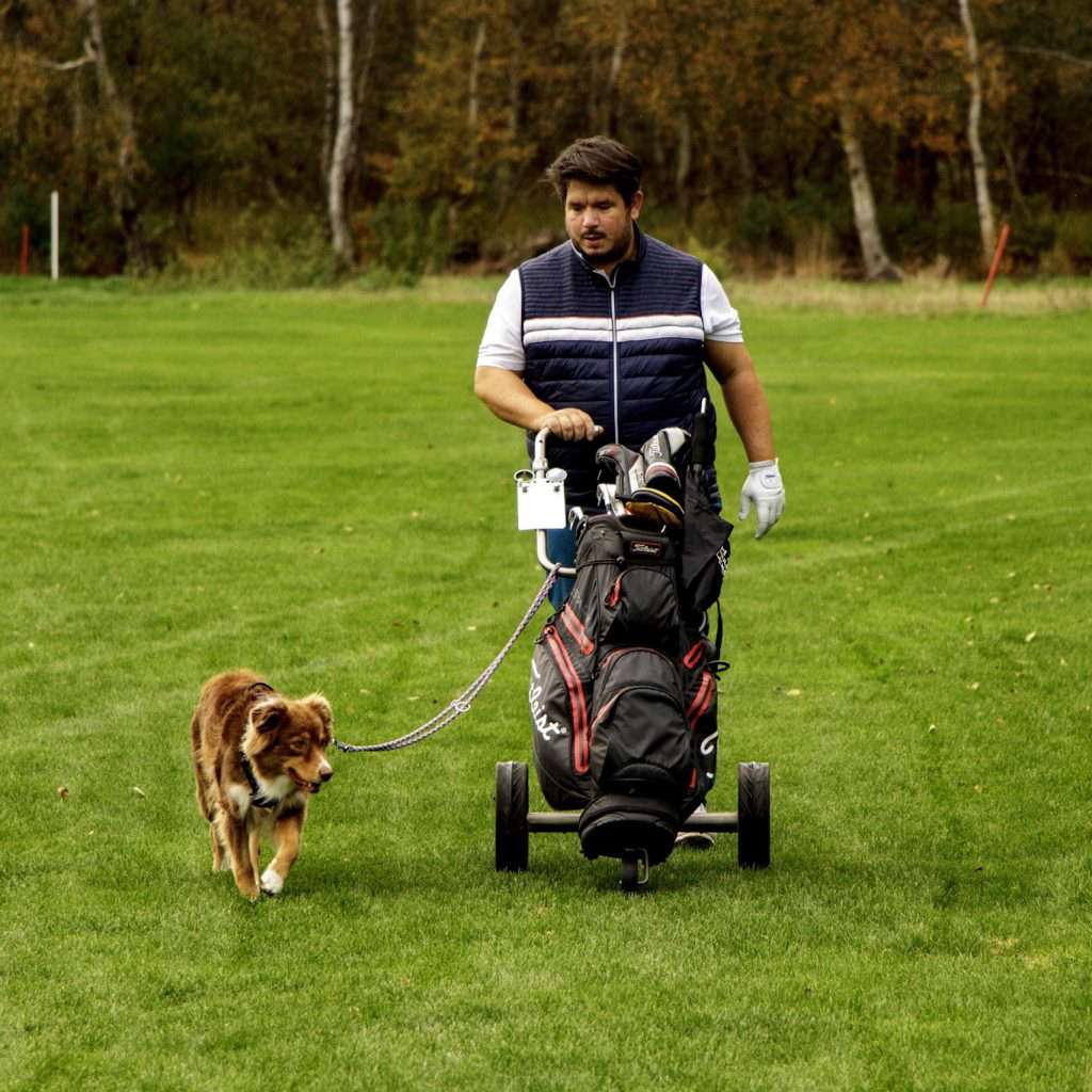 Hunde auf der Runde